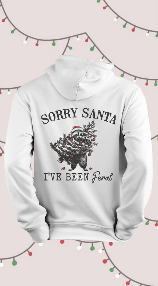 Sorry Santa Hoodie