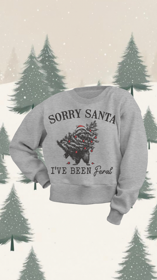 Sorry Santa Sweatshirt